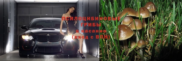 МДПВ Алзамай