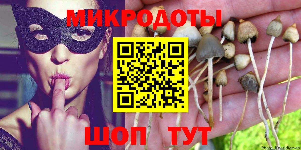 Галлюциногенные грибы Psilocybine cubensis  Вход с VPN  Кропоткин 
